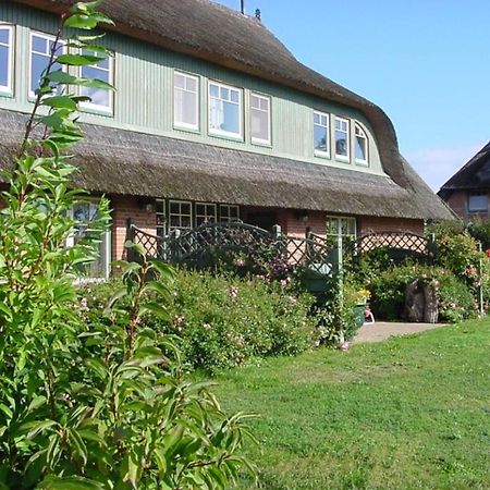 Ferienwohnung Nr 09 Eg Born Dış mekan fotoğraf